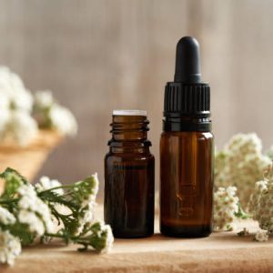 Achillea Millefolium Extract Two bottles of aromatherapy essential oil with fresh blooming yarrow or Achillea millefolium plant