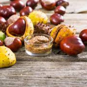 Aesculus Hippocastanum Seed Extract Aesculus Hippocastanum Seed Extract