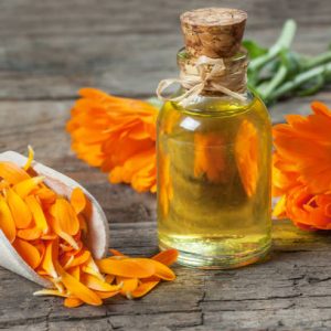 Calendula Officinalis Flower Extract Glass bottle of calendula essential oil with fresh marigold flowers on wooden table. Aromatherapy marigold oil herbal medicine background concept with copy space